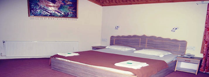 1484/Hotel Nishat View - Srinagar 06.jpg